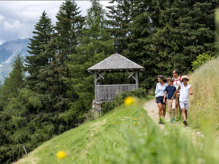 Hike to Streitweide Alpine Hut Schenna/Scena 1 suedtirol.info