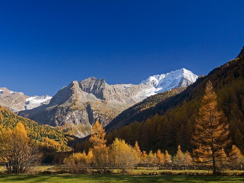 Passeggiata nella Valle Bacher (Riva di Tures) Campo Tures 3 suedtirol.info