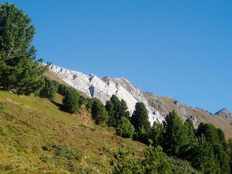 Passeggiata nella Valle Bacher (Riva di Tures) Campo Tures 1 suedtirol.info