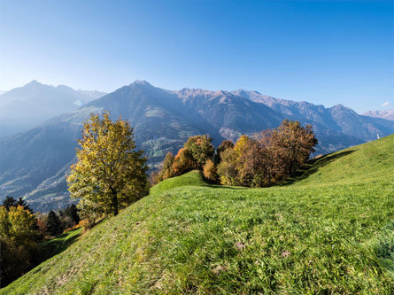 Wanderung zum Bachlerhof Schenna 2 suedtirol.info