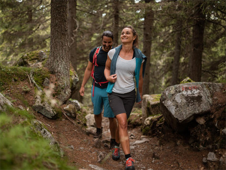 Wanderung zum Bachlerhof Schenna 1 suedtirol.info