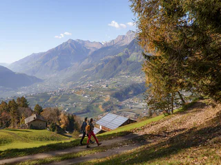 Wanderung zum Bachlerhof - Schenna - #2 - suedtirol.info