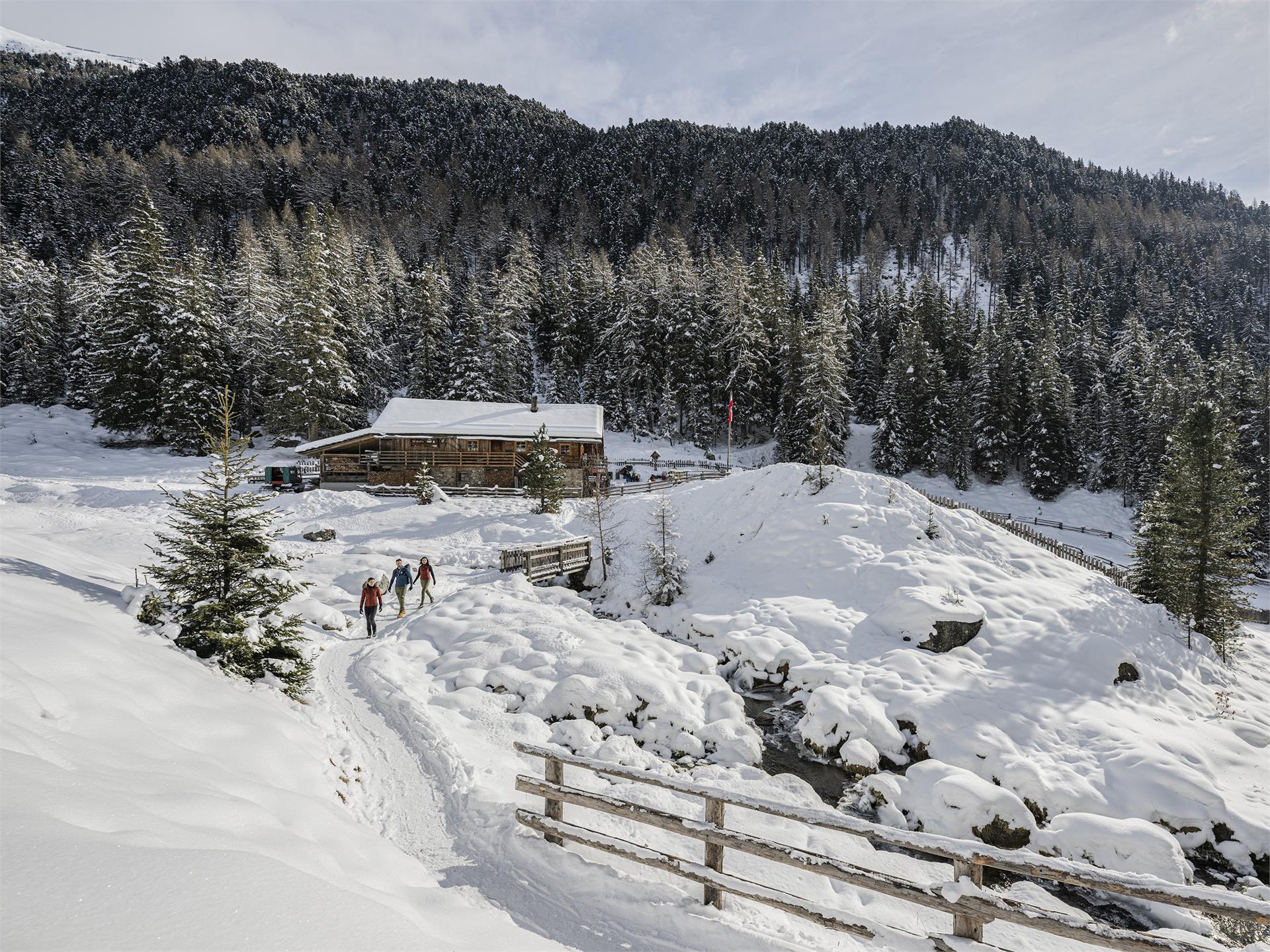 Winter hiking to the Lercher Alm hut Percha/Perca 1 suedtirol.info