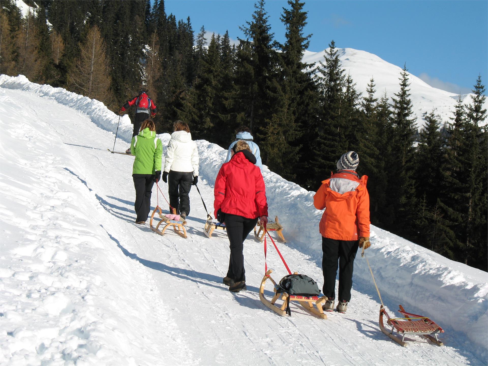 Winterwanderung zur Pertinger Alm in Terenten Terenten 4 suedtirol.info