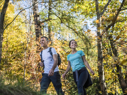 Hike along the "Raststeinweg" Trail Schenna/Scena 2 suedtirol.info