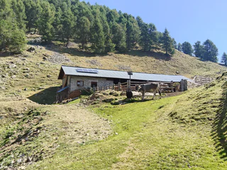 Wanderung zur Stierberg Alm - Kastelbell-Tschars - #3 - suedtirol.info