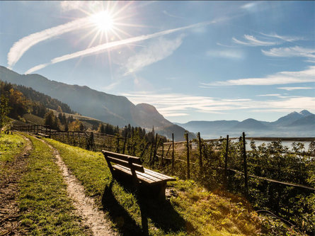 Escursione al maso Rastlhof Scena 1 suedtirol.info