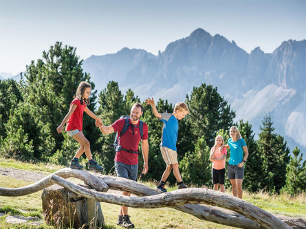 WoodyWalk: The fun - Filled family hike on the Plose Mountain Brixen/Bressanone 1 suedtirol.info