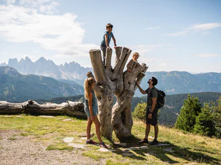 WoodyWalk auf der Plose - Brixen - #5 - suedtirol.info
