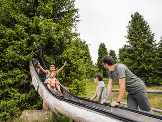 WoodyWalk auf der Plose - Brixen - #3 - suedtirol.info