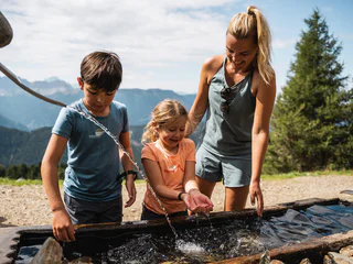 WoodyWalk auf der Plose - Brixen - #4 - suedtirol.info