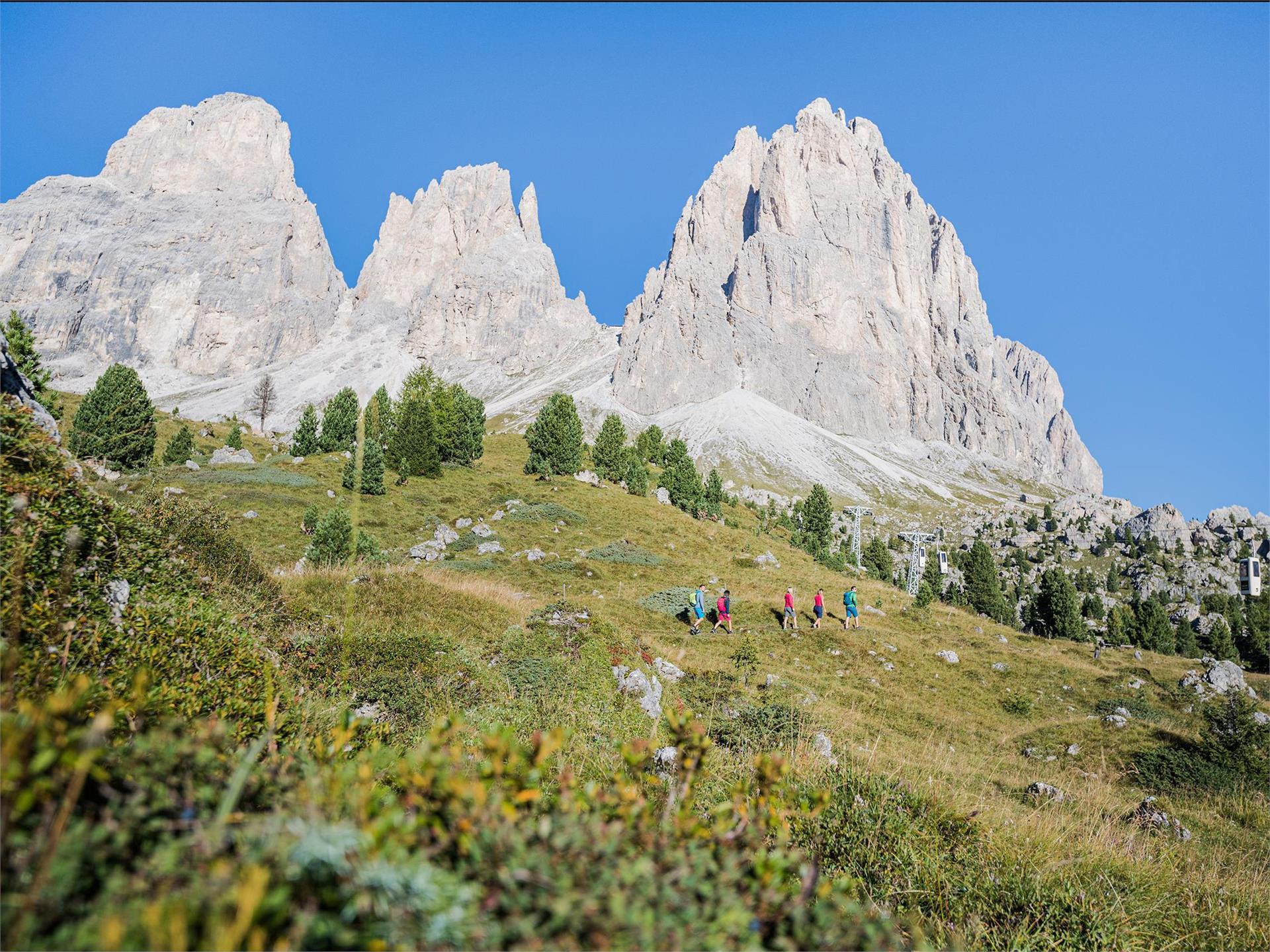 Escursione attorno al Sassolungo Selva 1 suedtirol.info