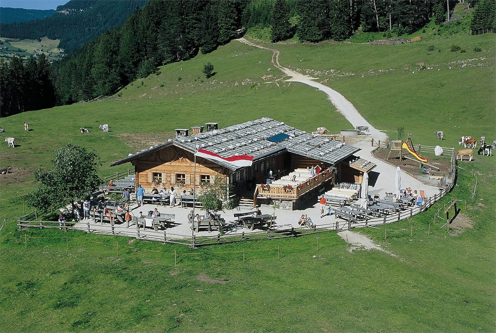 Wanderung vom Völser Weiher über die Tuff Alm zum Hofer Alpl Völs am Schlern 3 suedtirol.info