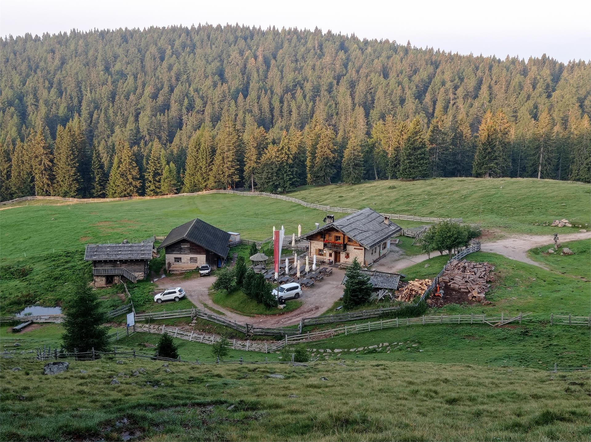 Hike from Mölten to the “Stoanerne Mandln” Mölten/Meltina 5 suedtirol.info