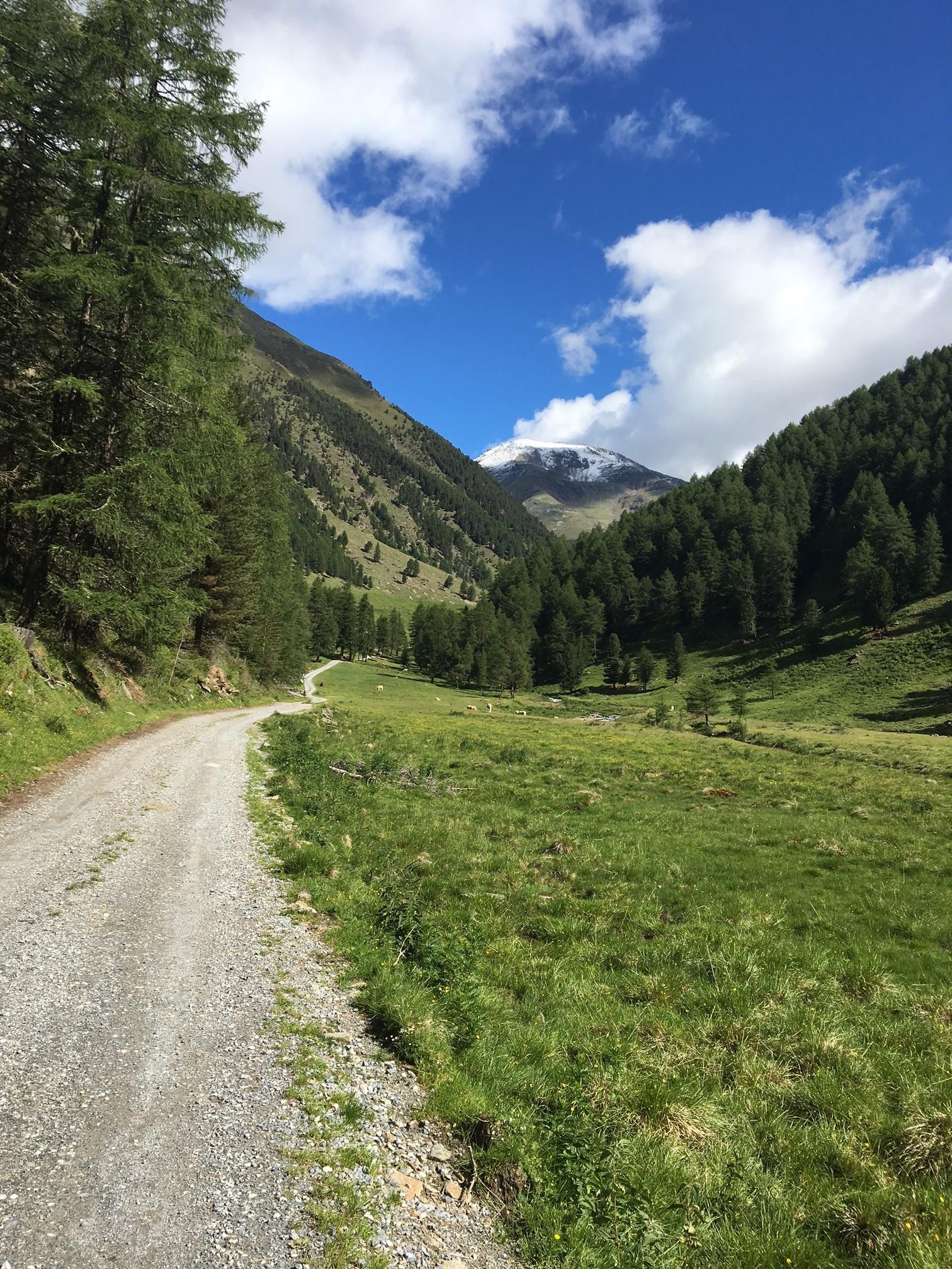 Zur Schlanderser Alm Schlanders 3 suedtirol.info