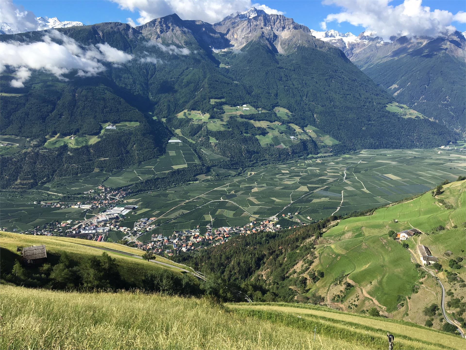 Zur Schlanderser Alm Schlanders 2 suedtirol.info