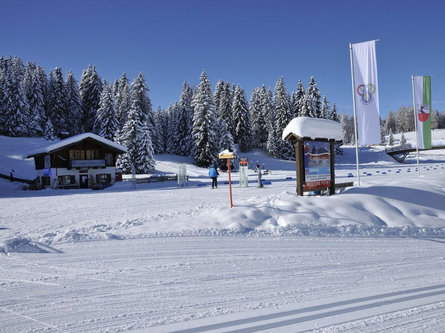 Centre S.Crestina Gherdëina/Santa Cristina Val Gardana 2 suedtirol.info