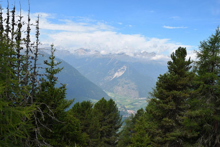 La Testa di Tanas Lasa 2 suedtirol.info