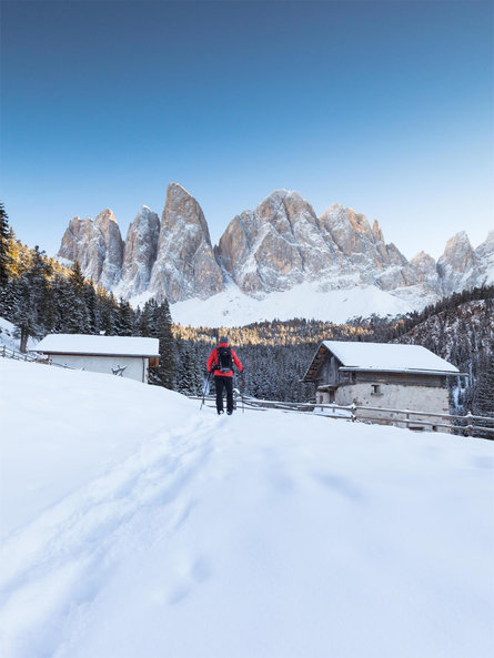 Zannes - Glatsch - Dusler - Zannes Funes 1 suedtirol.info