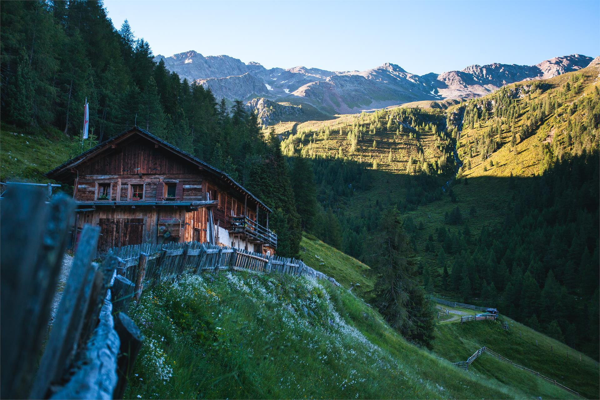 to the Staller Saddle (passing the Steinzger Alm hut) Rasen-Antholz/Rasun Anterselva 2 suedtirol.info