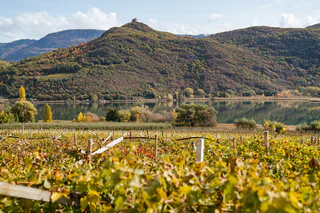 Zu den Rosszähnen und auf die Leuchtenburg - Pfatten - #1 - suedtirol.info