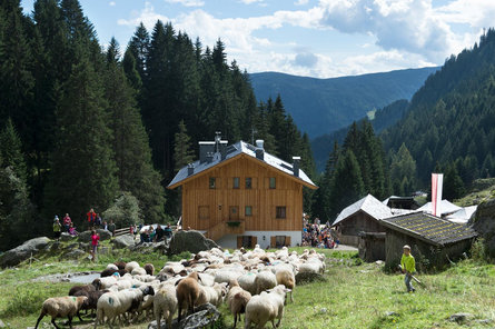 Zieltal valley hiking from hut to hut Partschins/Parcines 3 suedtirol.info