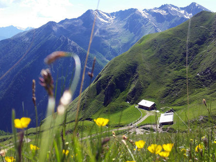 Escursione alla malga Tschiffernaun Rio di Pusteria 1 suedtirol.info