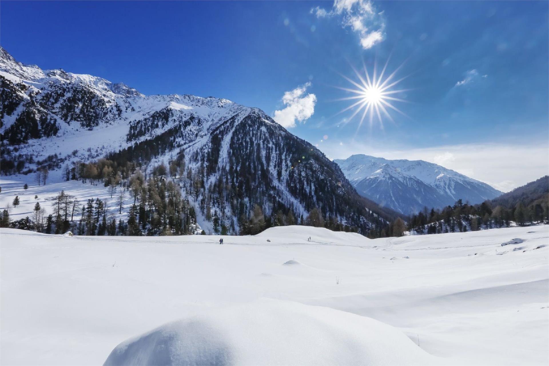 Saltia alla Cima di Pleres in inverno  1 suedtirol.info