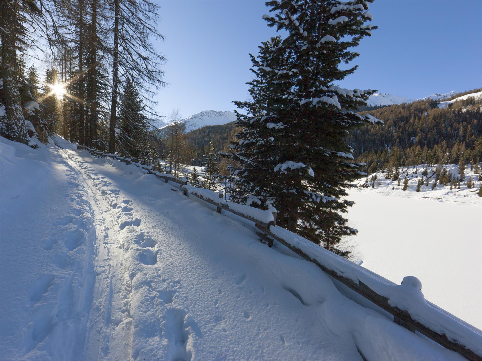 Snowshoeing to the Lyfialm in Val Martello