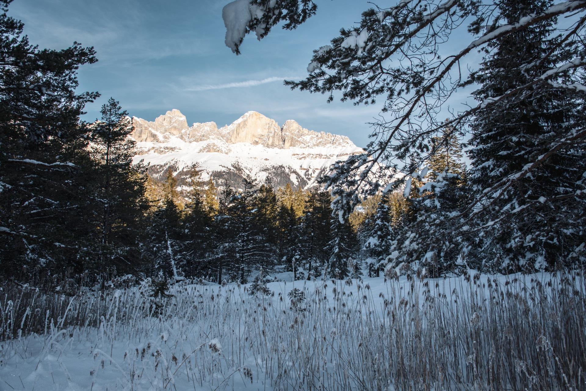 Escursione invernale dal Lago di Carezza al maso Stadlalm Nova Levante 1 suedtirol.info