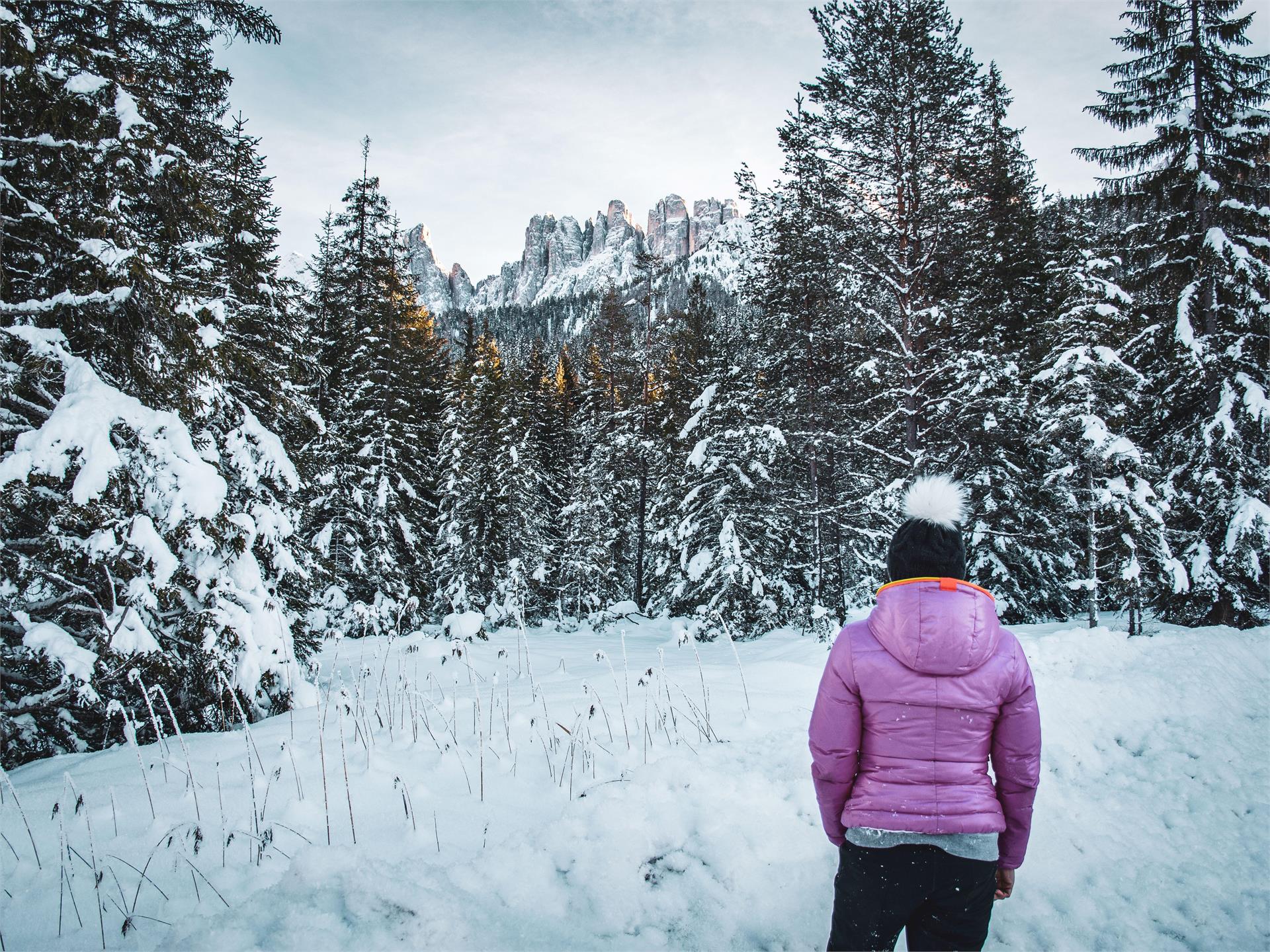 Escursione invernale dal Lago di Carezza al maso Stadlalm Nova Levante 2 suedtirol.info