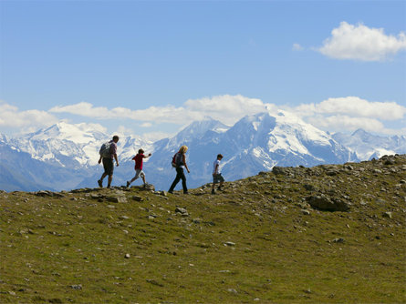 To the Glurnser Köpfl starting from the farms of Lichtenberg Stilfs/Stelvio 1 suedtirol.info