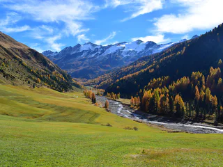 Zur Melager Alm - - #1 - suedtirol.info