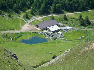Zur Grauner Alm - - #1 - suedtirol.info