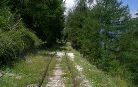 To the Alpine pasture in the Lasa Valley Laas/Lasa 5 suedtirol.info