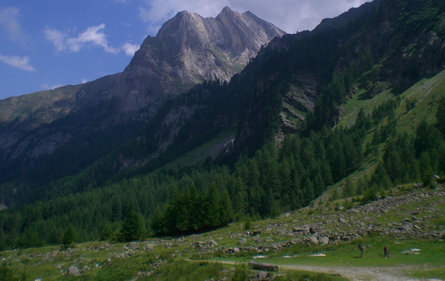 Alle malghe nella Val di Lasa Lasa 6 suedtirol.info