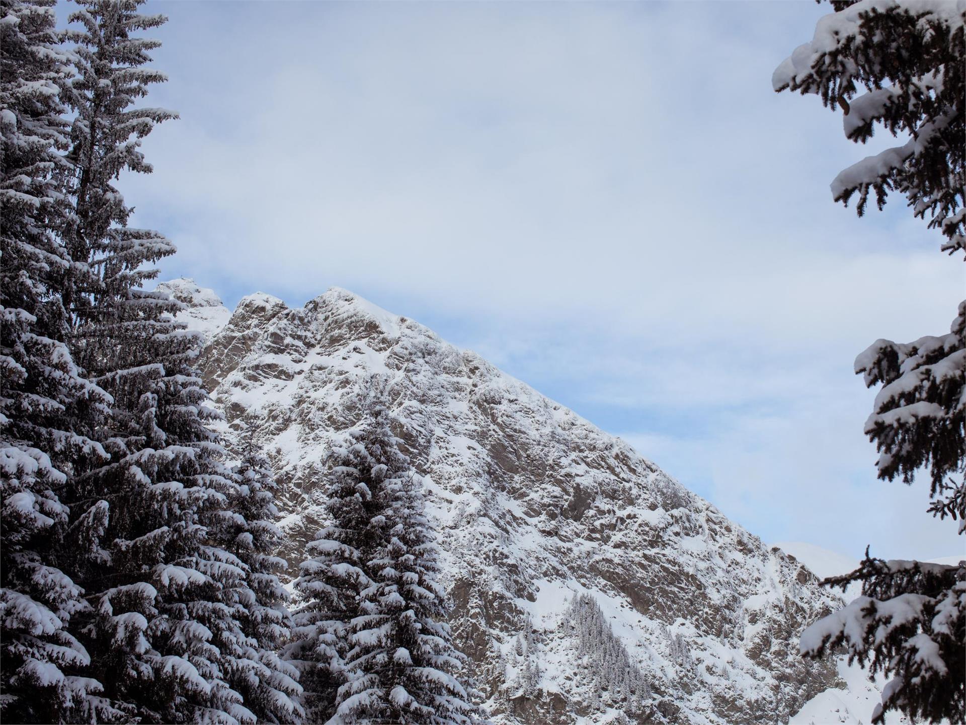 Zur Zuegg Hütte auf Meran 2000 Hafling 2 suedtirol.info