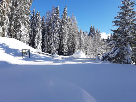 To the Faulen See Lake from Burgusio in winter Mals/Malles 3 suedtirol.info