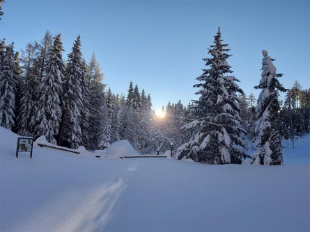 To the Faulen See Lake from Burgusio in winter Mals/Malles 2 suedtirol.info