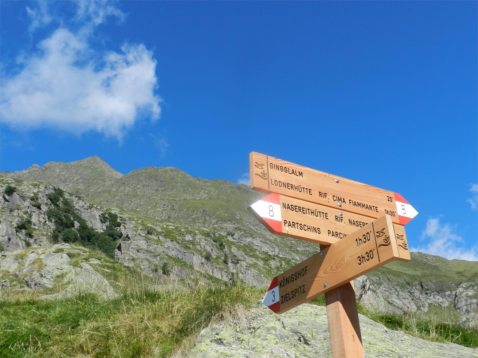 Peak Zielspitz/Cima Zielspitz (3.006 m) Partschins/Parcines 3 suedtirol.info