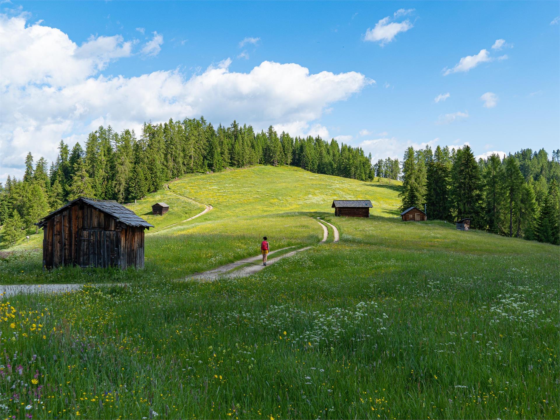 Tru di pra certified path La Val 3 suedtirol.info