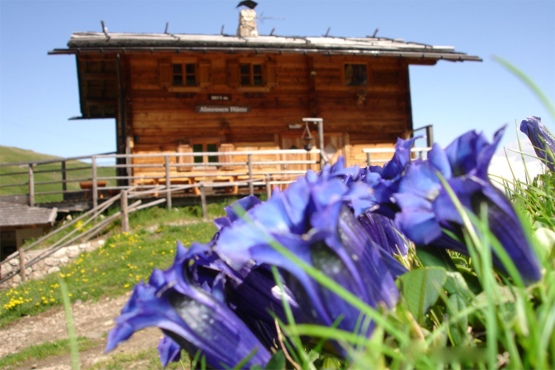 Almrosen Hütte Kastelruth 1 suedtirol.info