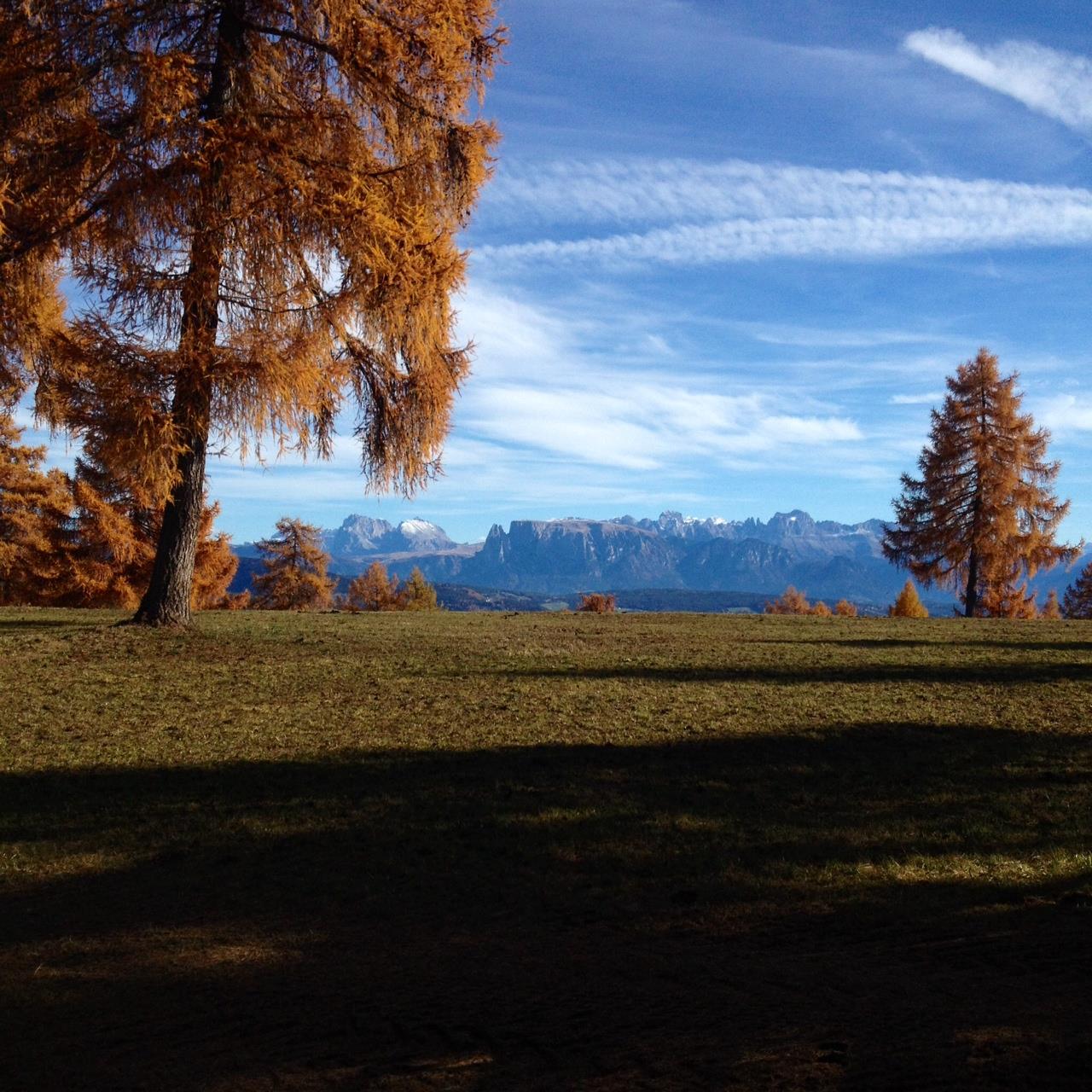 Gschnoferstall Mölten/Meltina 4 suedtirol.info