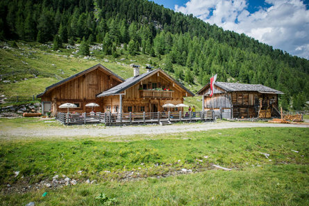 Ausserwegeralm Rasen-Antholz/Rasun Anterselva 1 suedtirol.info