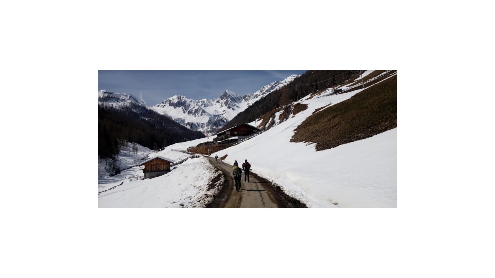 Malga Bergmeisteralm Mühlwald/Selva dei Molini 10 suedtirol.info