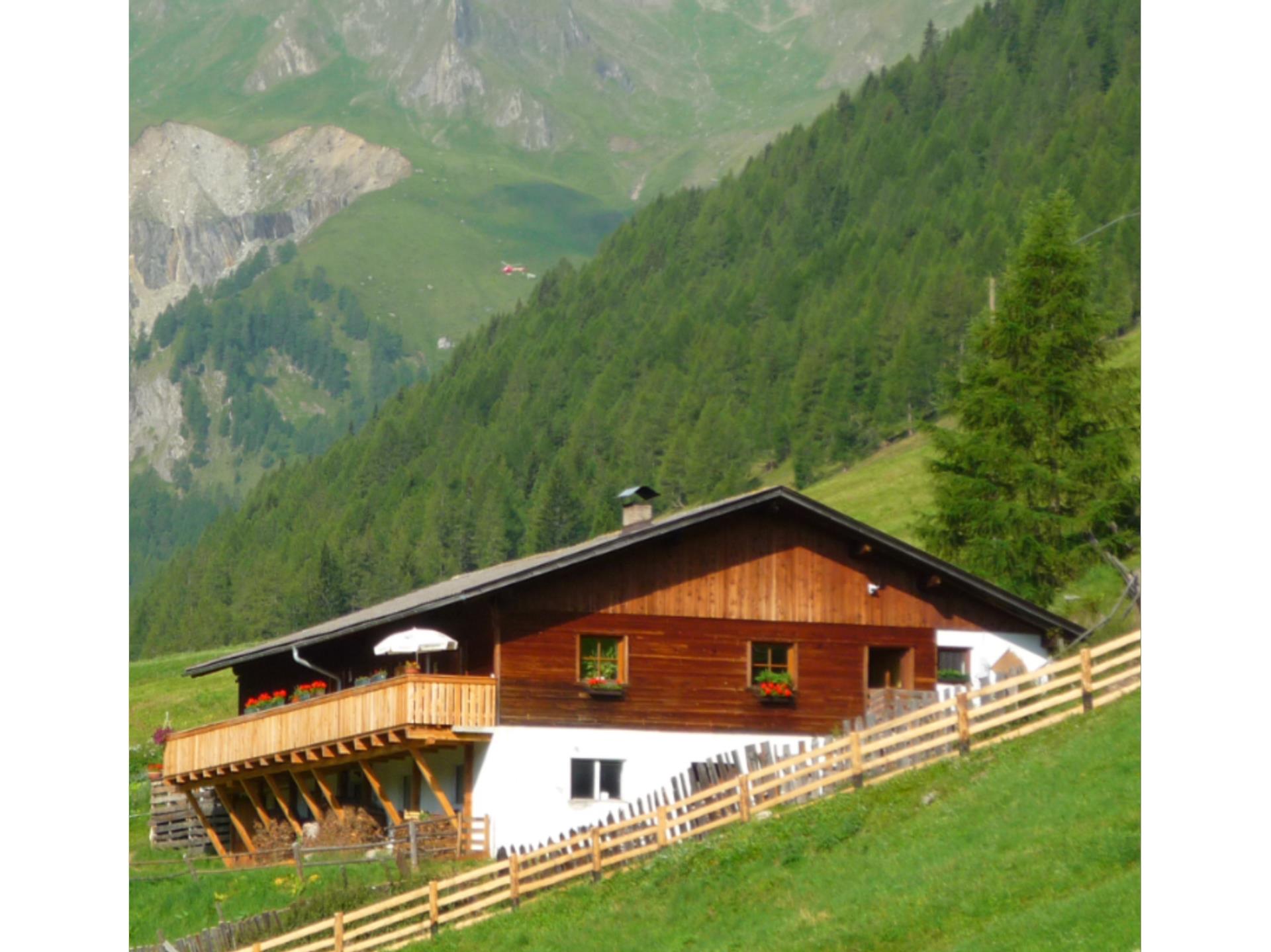 Malga Bergmeisteralm Mühlwald/Selva dei Molini 1 suedtirol.info