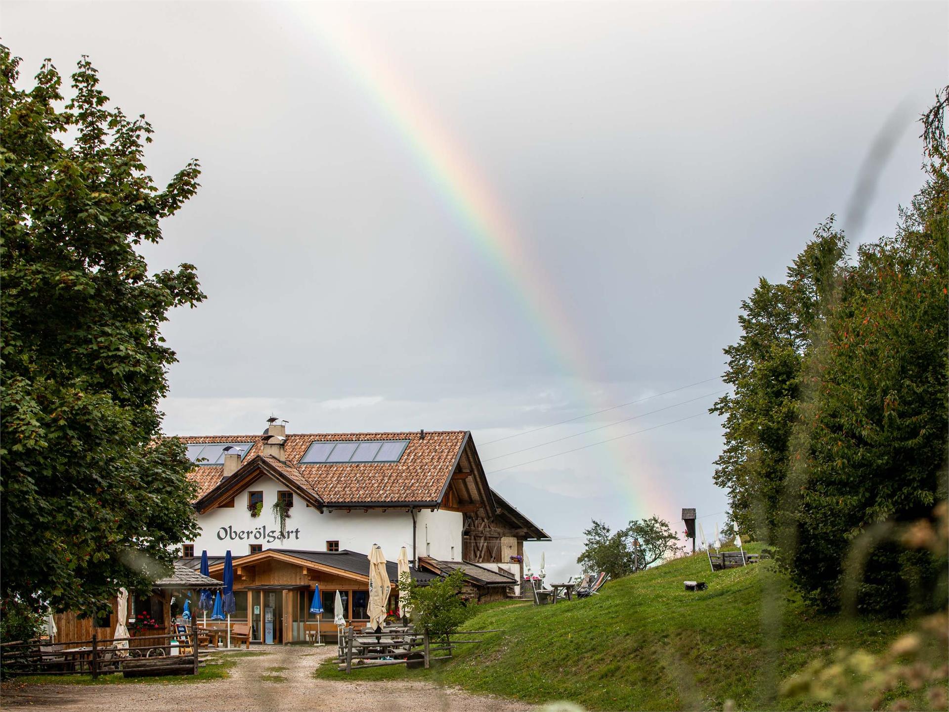 Buschenschank Oberölgart Karneid 1 suedtirol.info