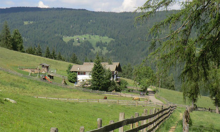 Berggasthof Lanzenschuster Jenesien 1 suedtirol.info