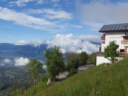 Berggasthof Walde Riffian 1 suedtirol.info