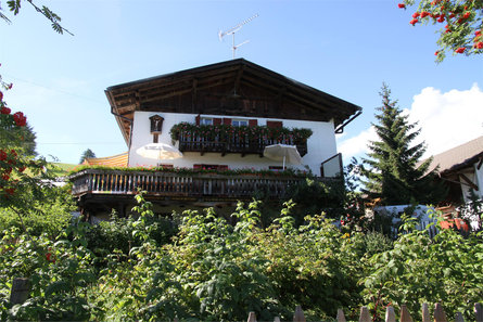 Berggasthof Lanzenschuster Jenesien/San Genesio Atesino 15 suedtirol.info